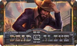 Rabona Casino offre il gioco online Dead or Alive II