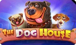 Rabona Casino offre il gioco online The Dog House